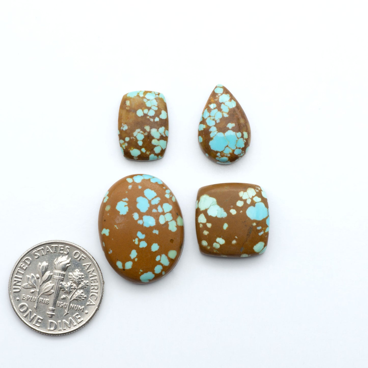 Number 8 Turquoise cabochons, classic color with distinctive matrix, polished stones on a white background with a US dime for scale