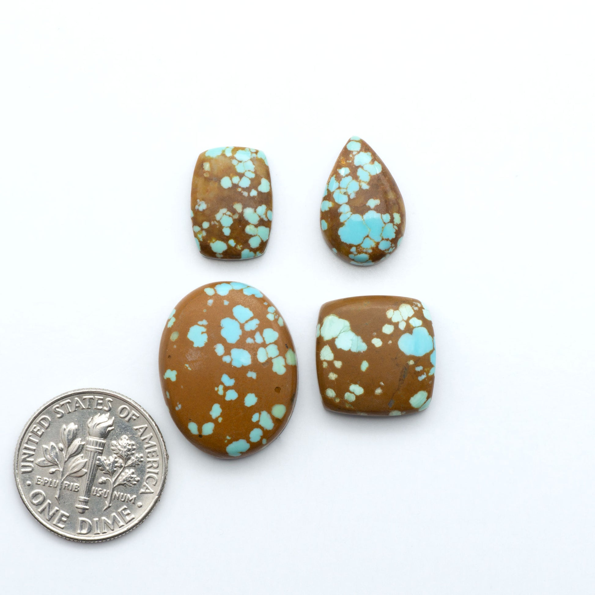 Number 8 Turquoise cabochons, classic color with distinctive matrix, polished stones on a white background with a US dime for scale