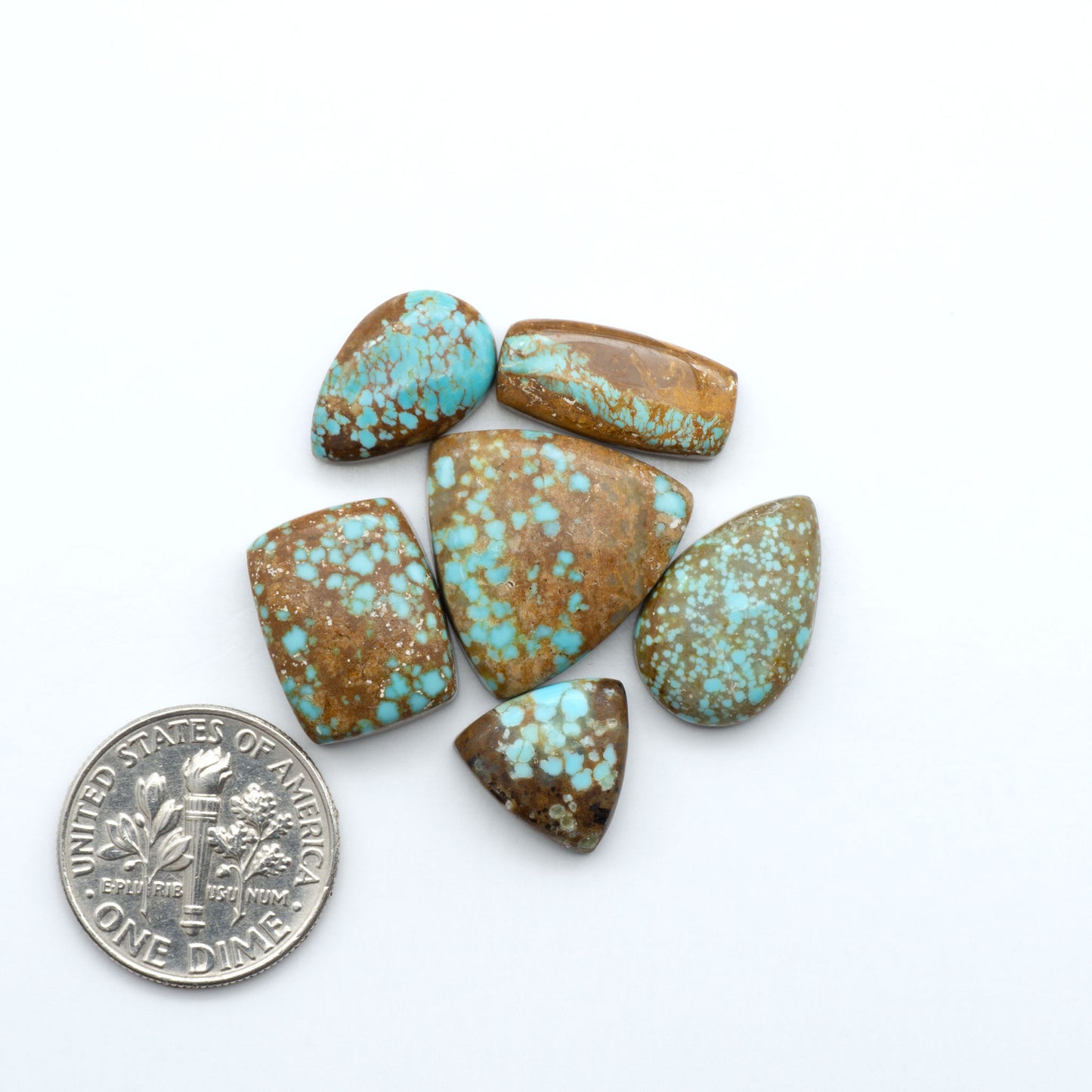 Number 8 Turquoise cabochons, classic color with distinctive matrix, polished stones on a white background with a US dime for scale