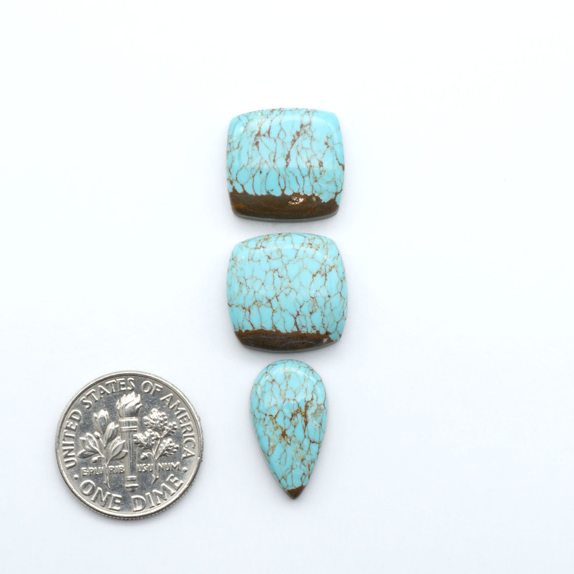 Number 8 Turquoise cabochons, classic color with distinctive matrix, polished stones on a white background with a US dime for scale