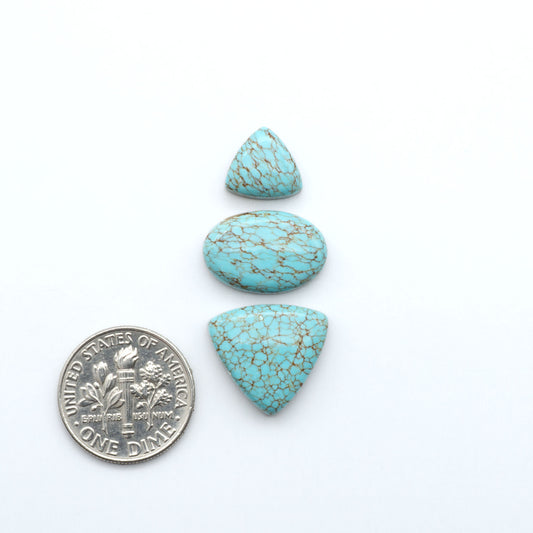 Number 8 Turquoise cabochons, classic color with distinctive matrix, polished stones on a white background with a US dime for scale