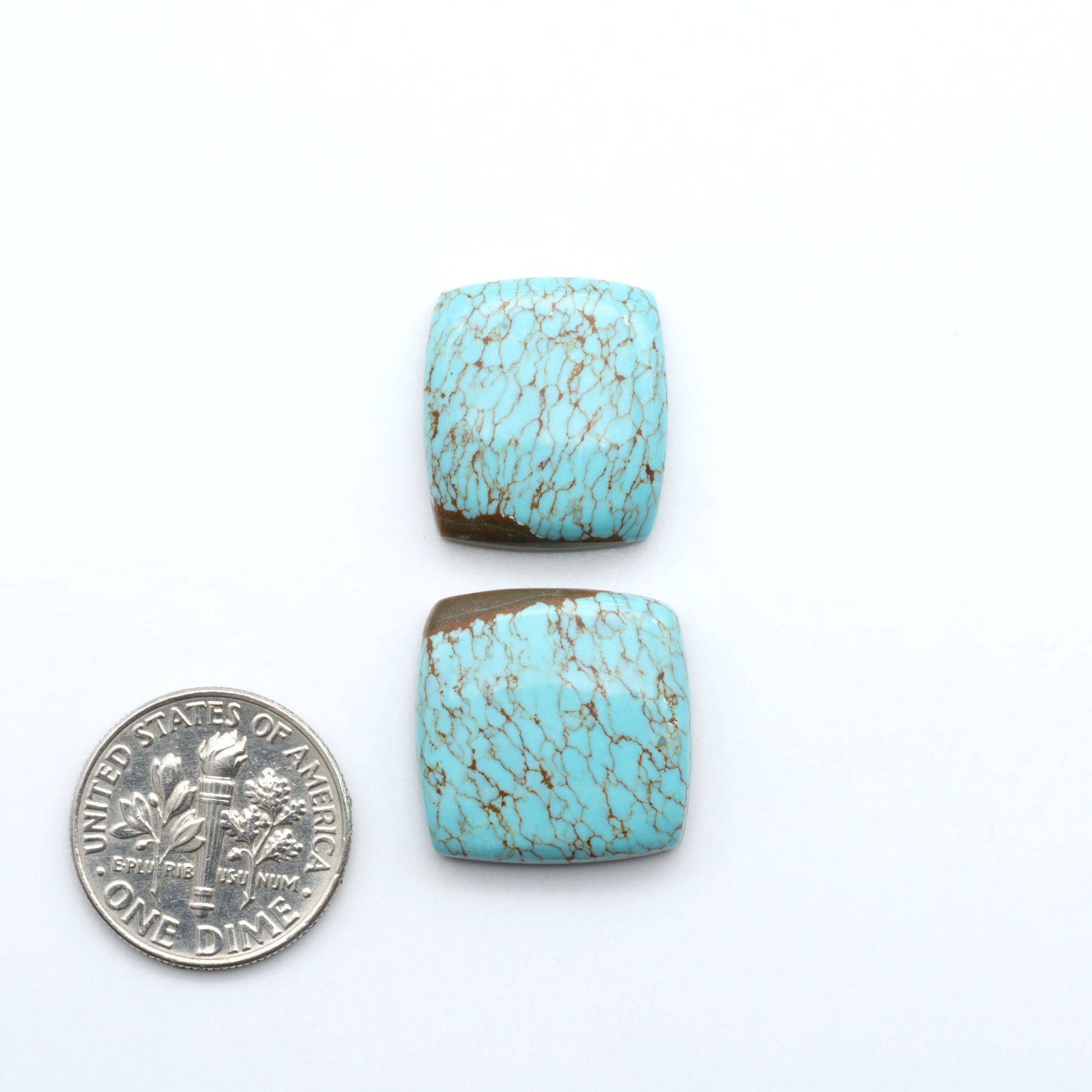 Number 8 Turquoise cabochons, classic color with distinctive matrix, polished stones on a white background with a US dime for scale