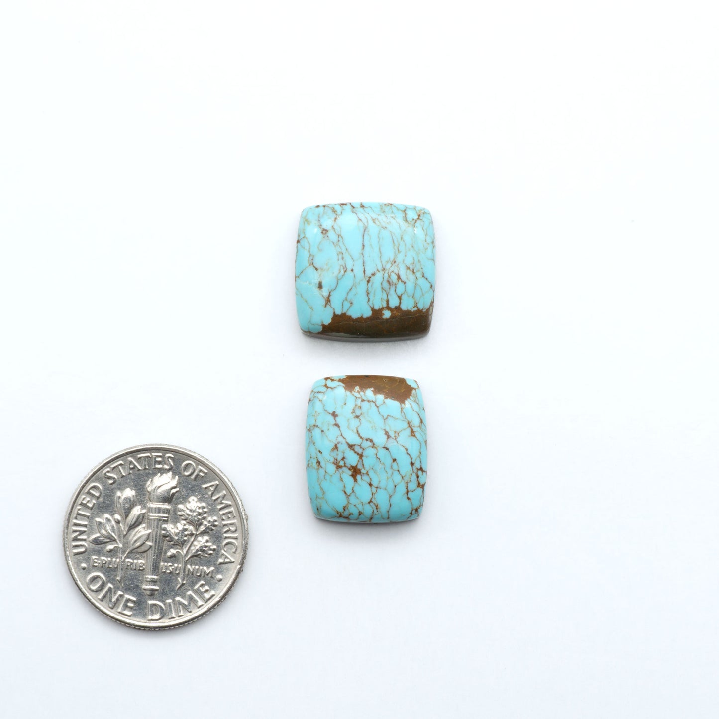 Number 8 Turquoise cabochons, classic color with distinctive matrix, polished stones on a white background with a US dime for scale