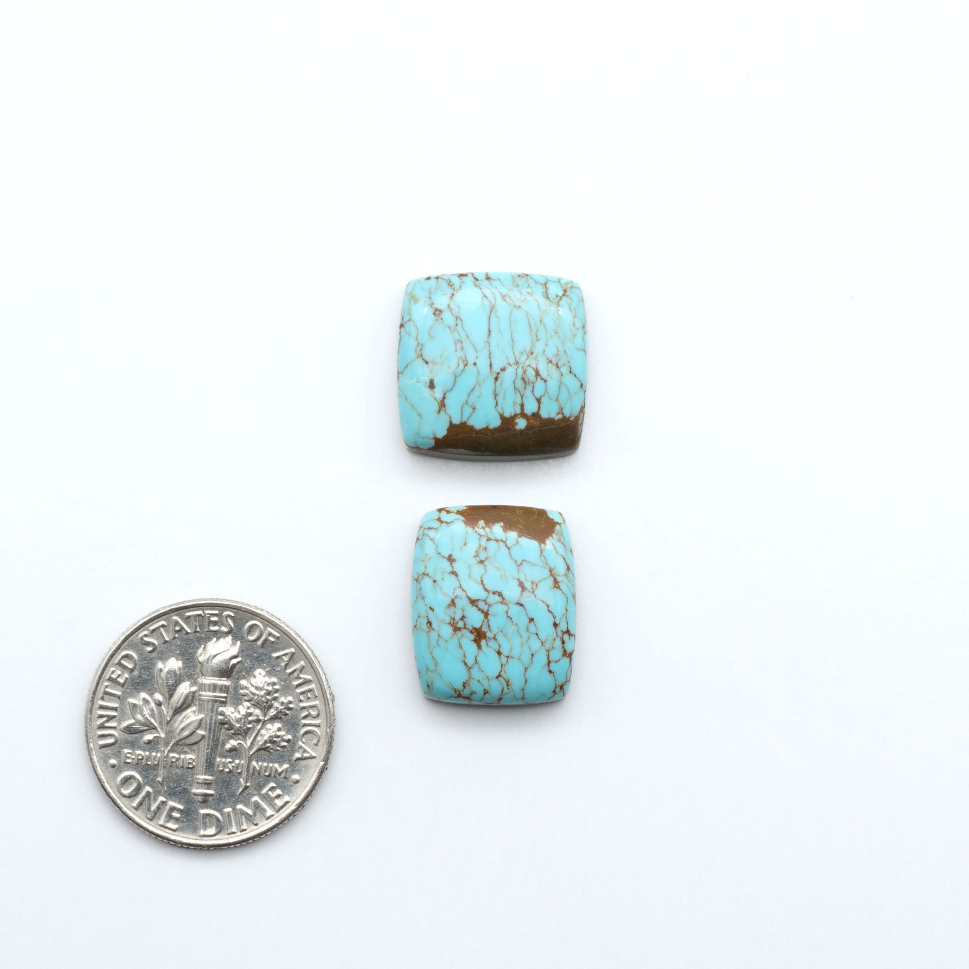 Number 8 Turquoise cabochons, classic color with distinctive matrix, polished stones on a white background with a US dime for scale