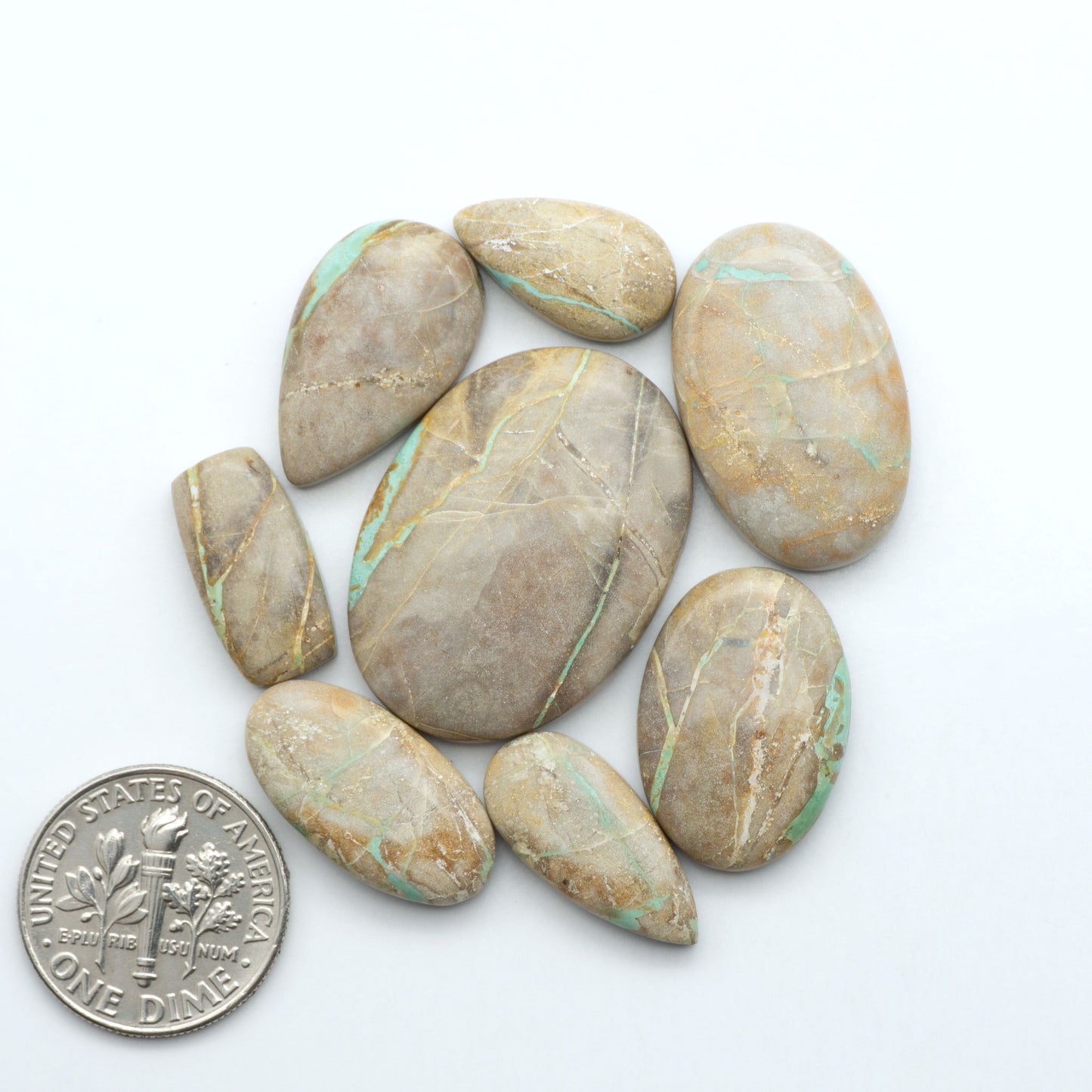 Crow Springs Turquoise cabochons with green ribbon pattern and brown matrix, on a white background with a US dime for scale