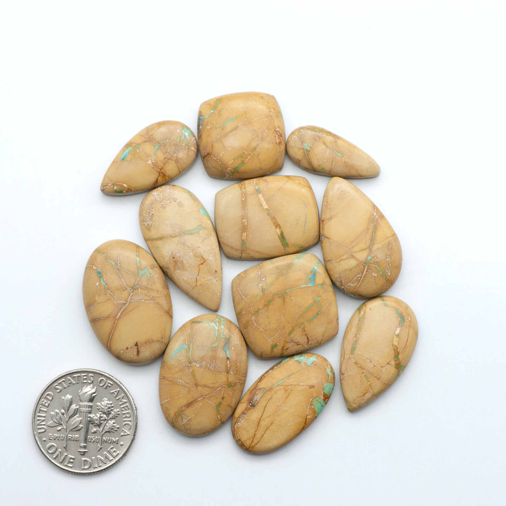 Crow Springs Turquoise cabochons with green ribbon pattern and brown matrix, on a white background with a US dime for scale