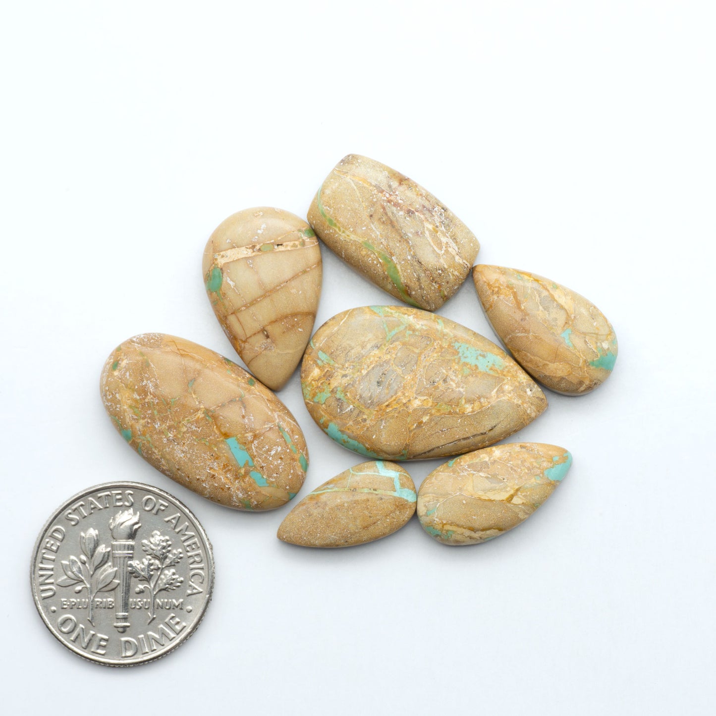 Crow Springs Turquoise cabochons with green ribbon pattern and brown matrix, on a white background with a US dime for scale