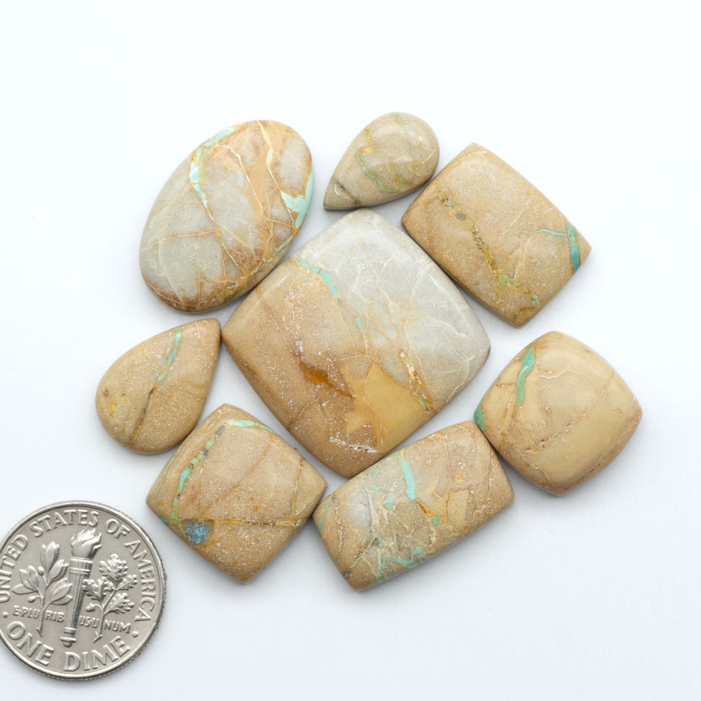 Crow Springs Turquoise cabochons with green ribbon pattern and brown matrix, on a white background with a US dime for scale