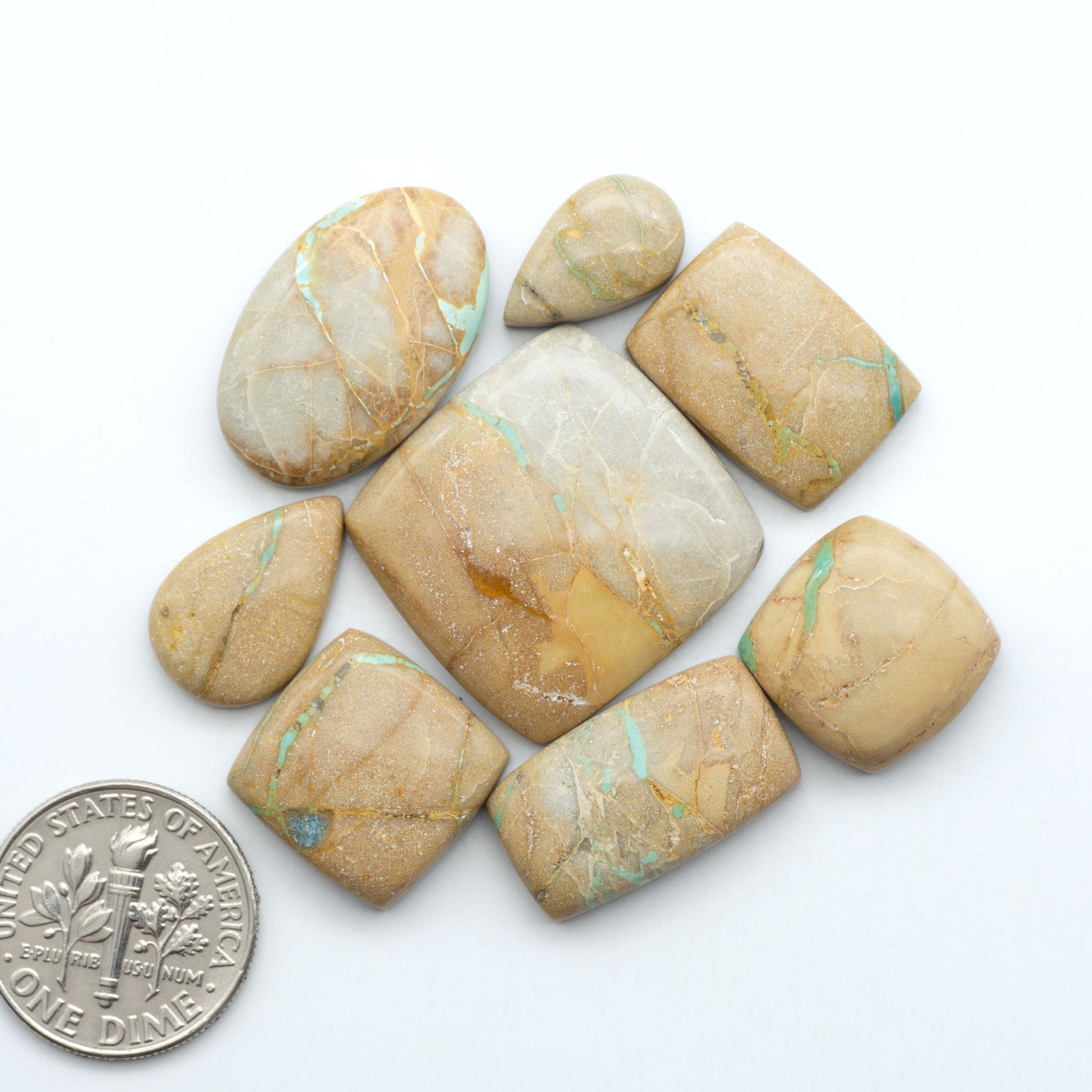 Crow Springs Turquoise cabochons with green ribbon pattern and brown matrix, on a white background with a US dime for scale