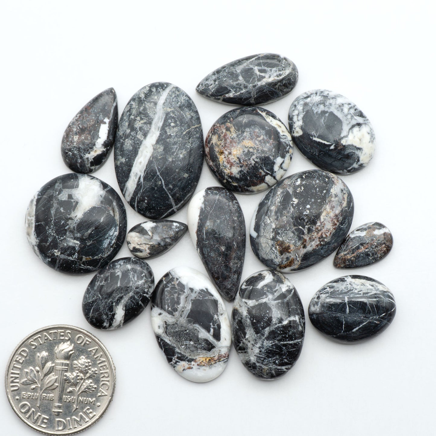 White Buffalo stone cabochons, white stone with black matrix, polished stones on a white background, with a US dime for scale