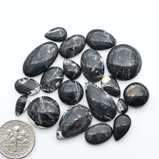White Buffalo stone cabochons, white stone with black matrix, polished stones on a white background, with a US dime for scale
