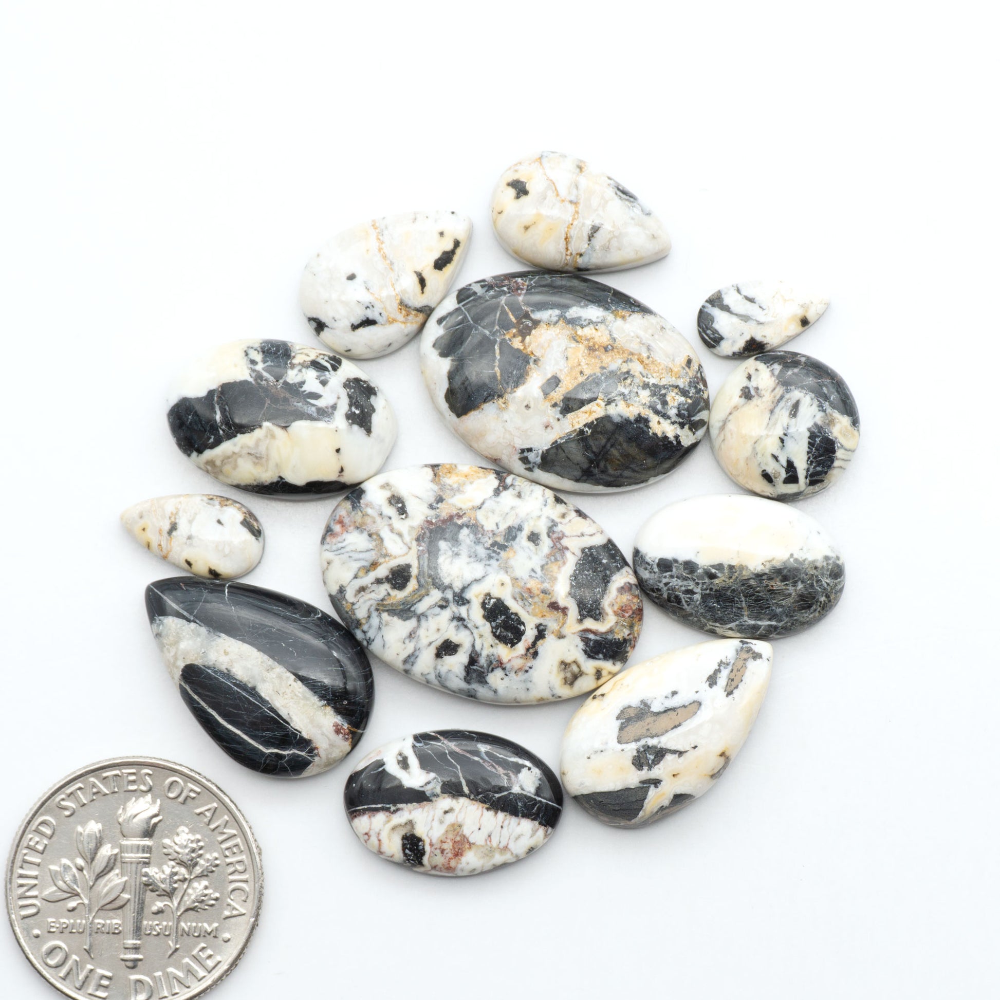 White Buffalo stone cabochons, white stone with black matrix, polished stones on a white background, with a US dime for scale
