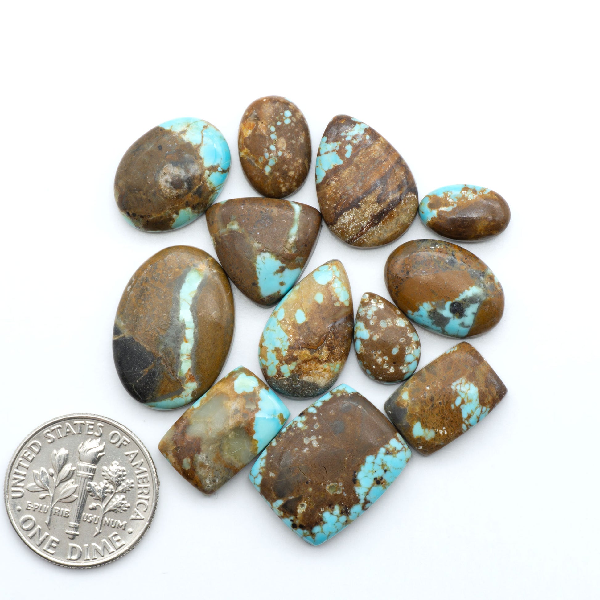 Number 8 Turquoise cabochons, blue and green color with brown matrix, polished stones on a white background, with a US dime for scale