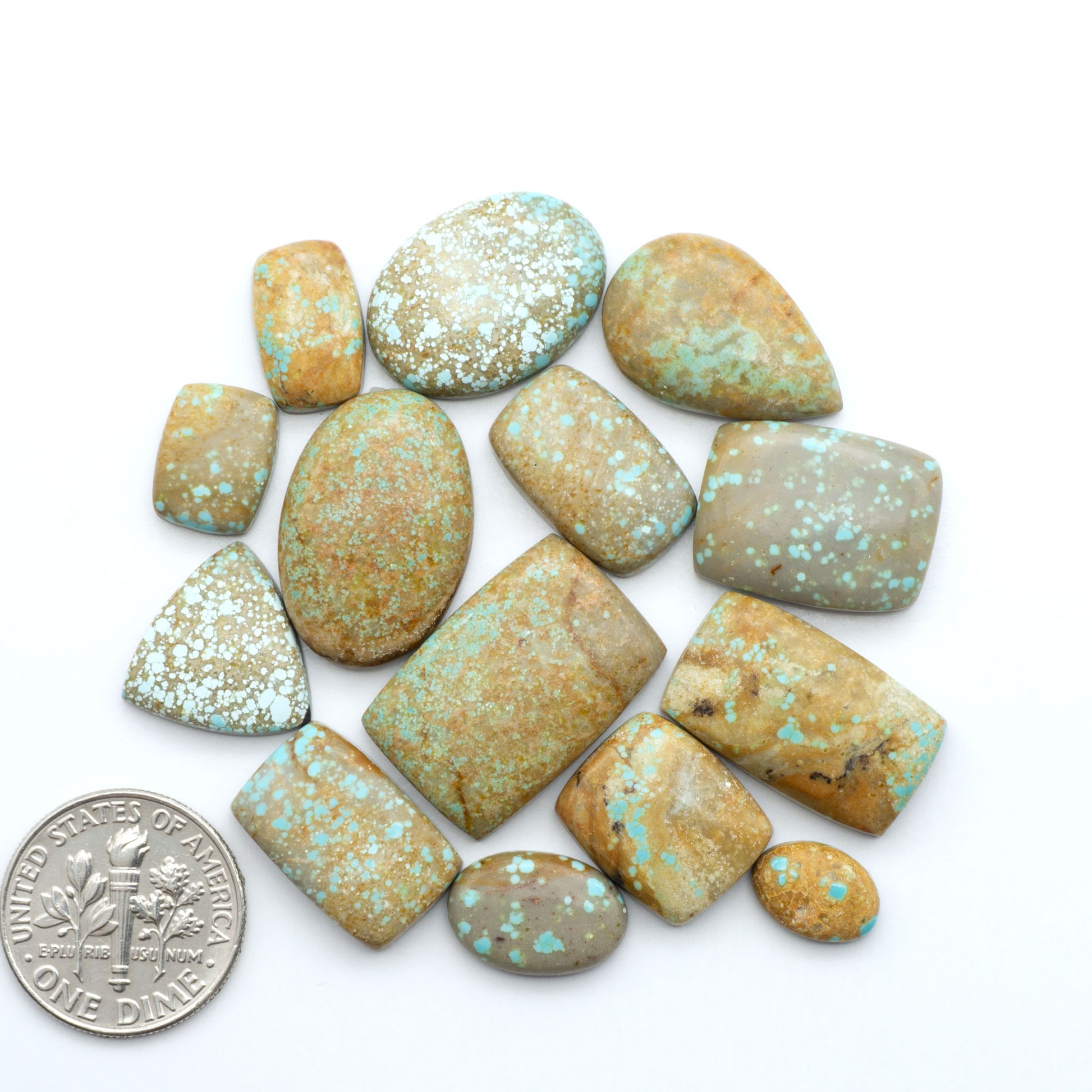 Number 8 Turquoise cabochons, blue and green color with brown matrix, polished stones on a white background, with a US dime for scale