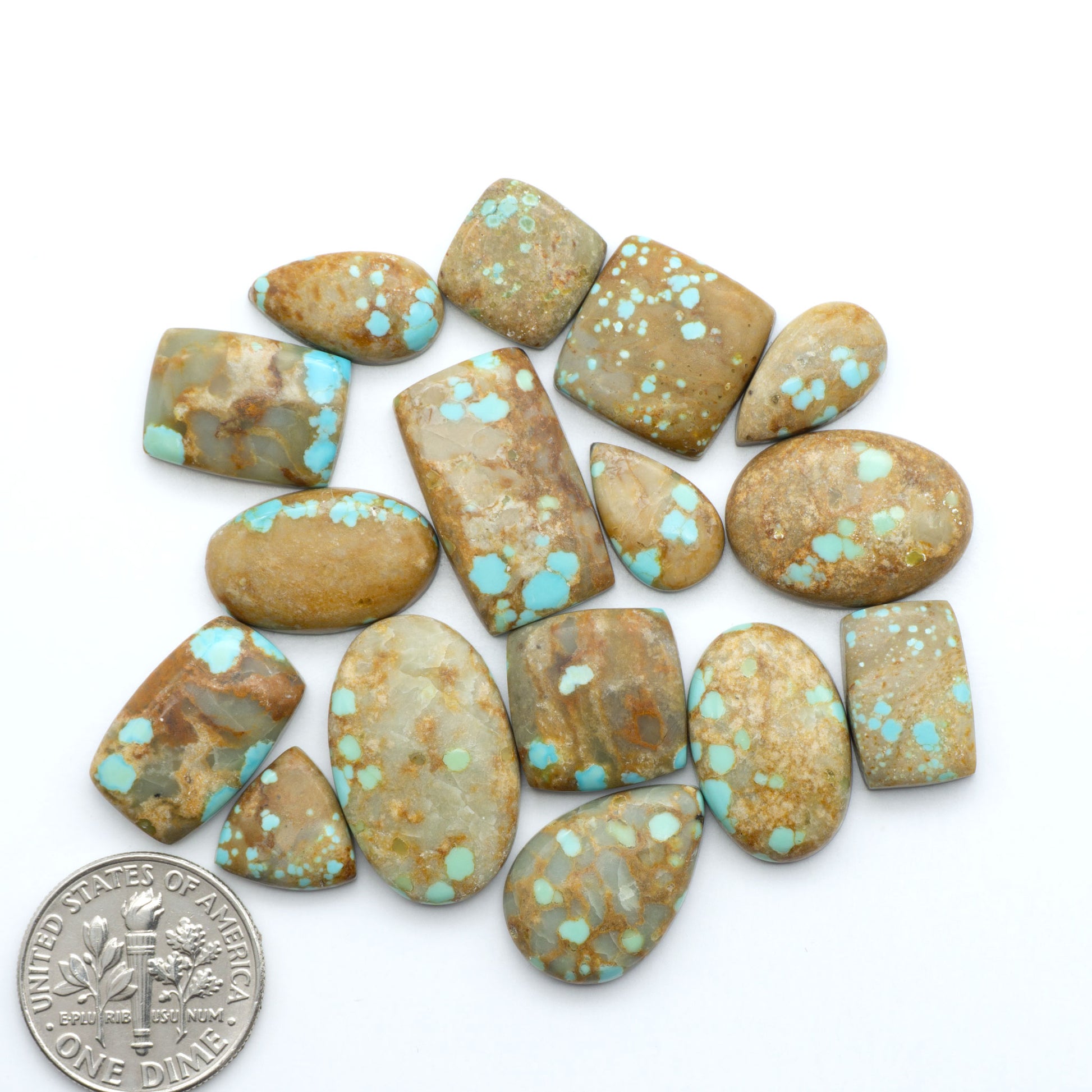 Number 8 Turquoise cabochons, blue and green color with brown matrix, polished stones on a white background, with a US dime for scale