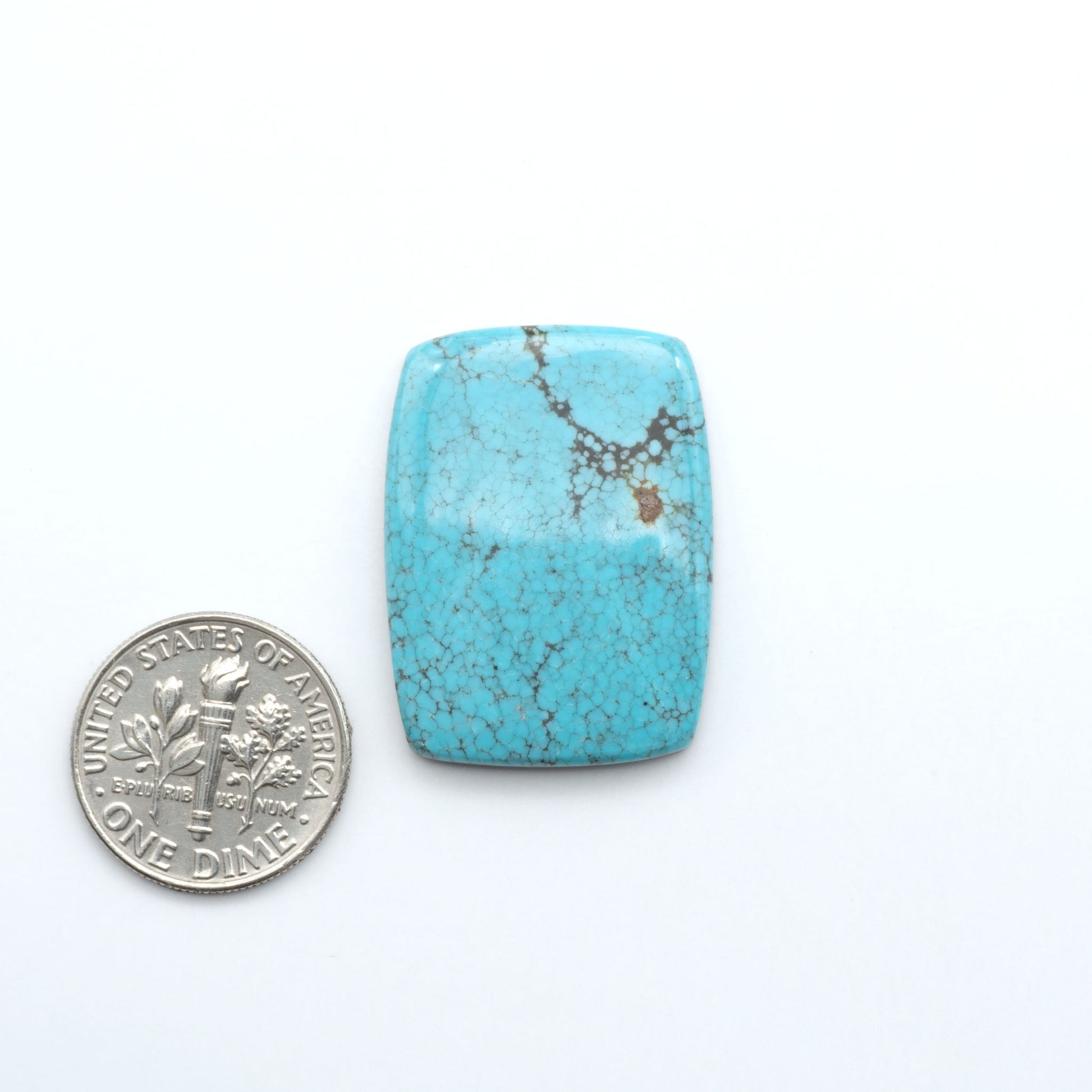 Number 8 Turquoise cabochons, blue color with black web matrix, polished stones on a white background, with a US dime for scale