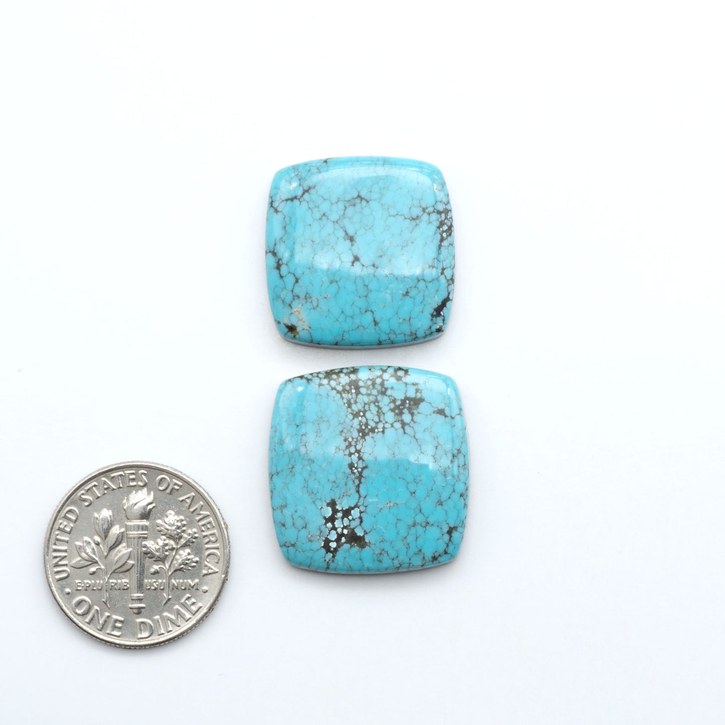 Number 8 Turquoise cabochons, blue color with black web matrix, polished stones on a white background, with a US dime for scale
