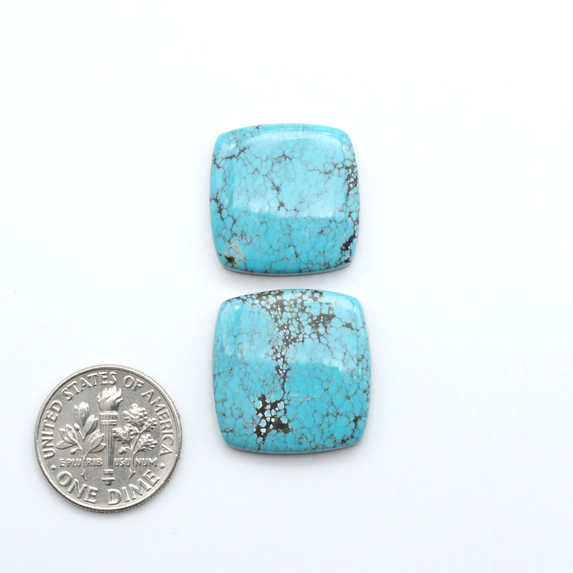Number 8 Turquoise cabochons, blue color with black web matrix, polished stones on a white background, with a US dime for scale