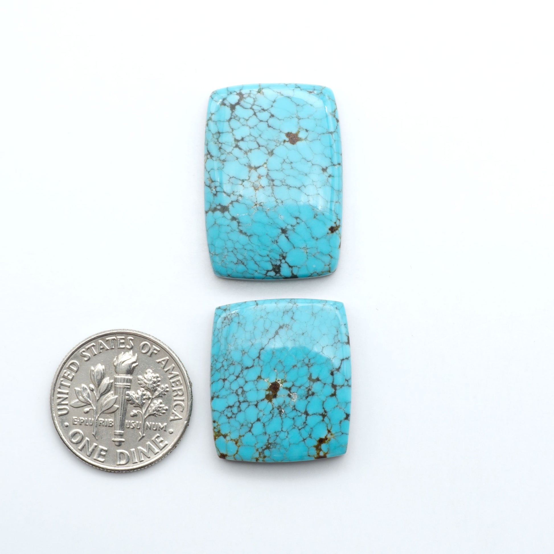 Number 8 Turquoise cabochons, blue color with black web matrix, polished stones on a white background, with a US dime for scale