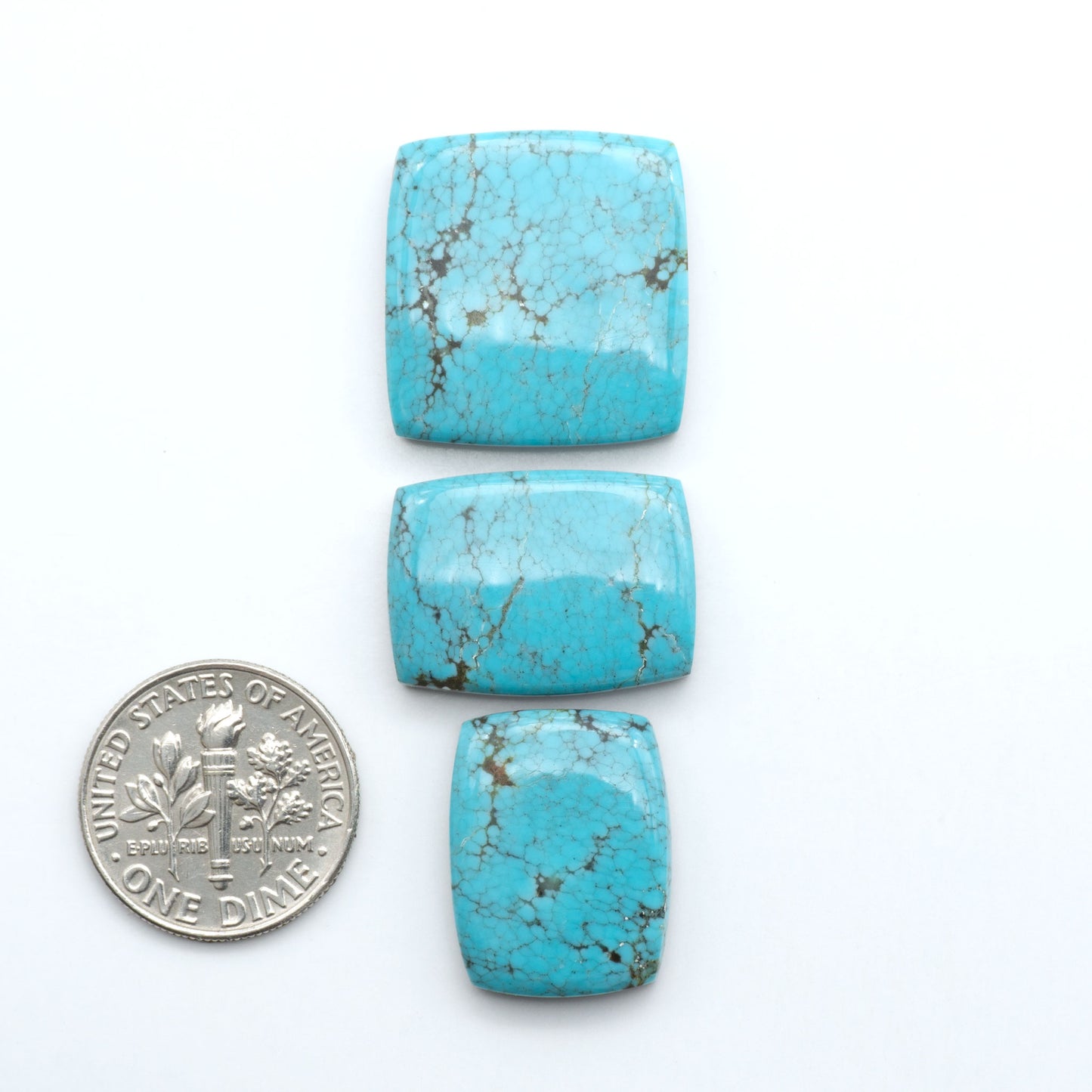 Number 8 Turquoise cabochons, blue color with black web matrix, polished stones on a white background, with a US dime for scale