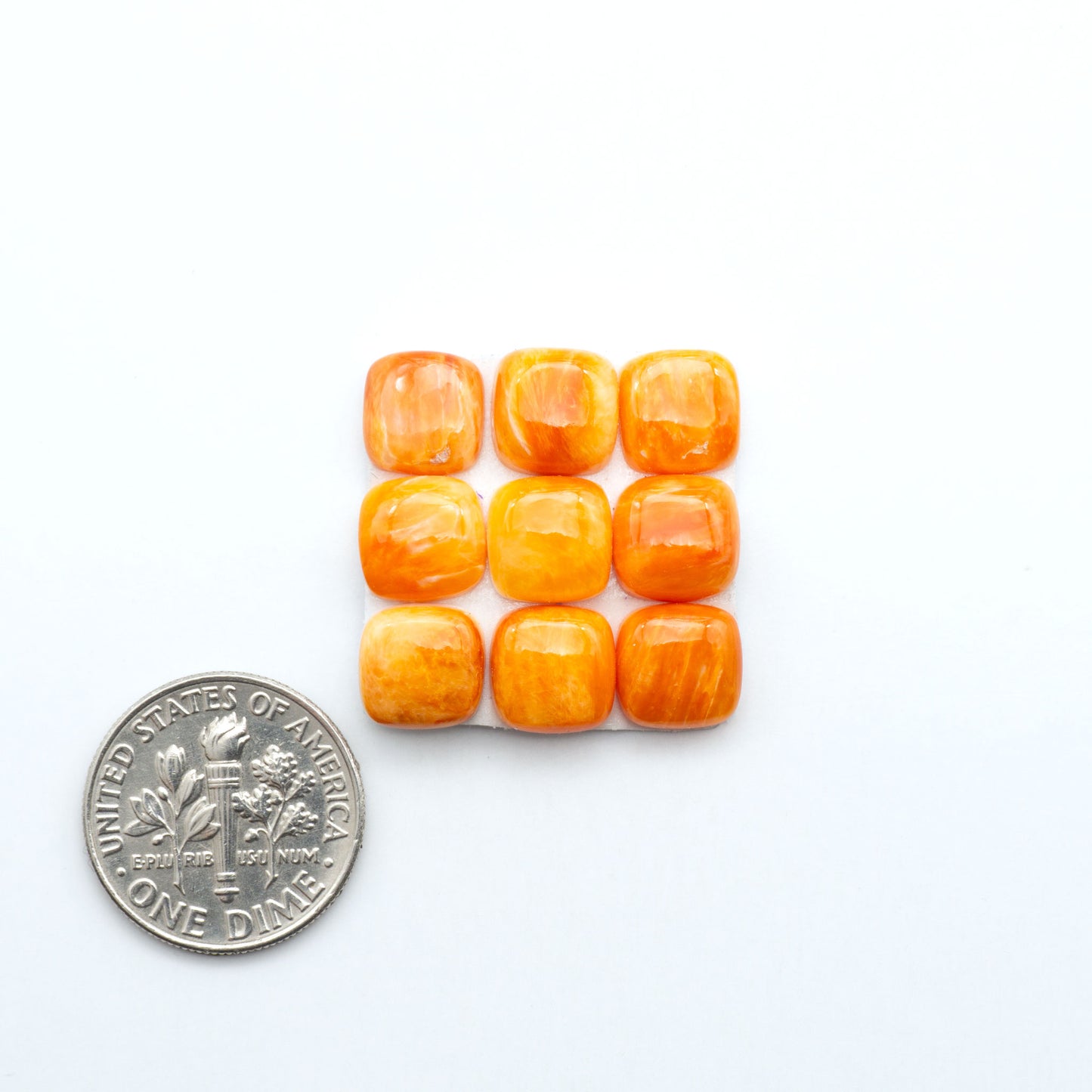 Orange Spiny oyster shell cabochons, on a white background with a US dime for scale