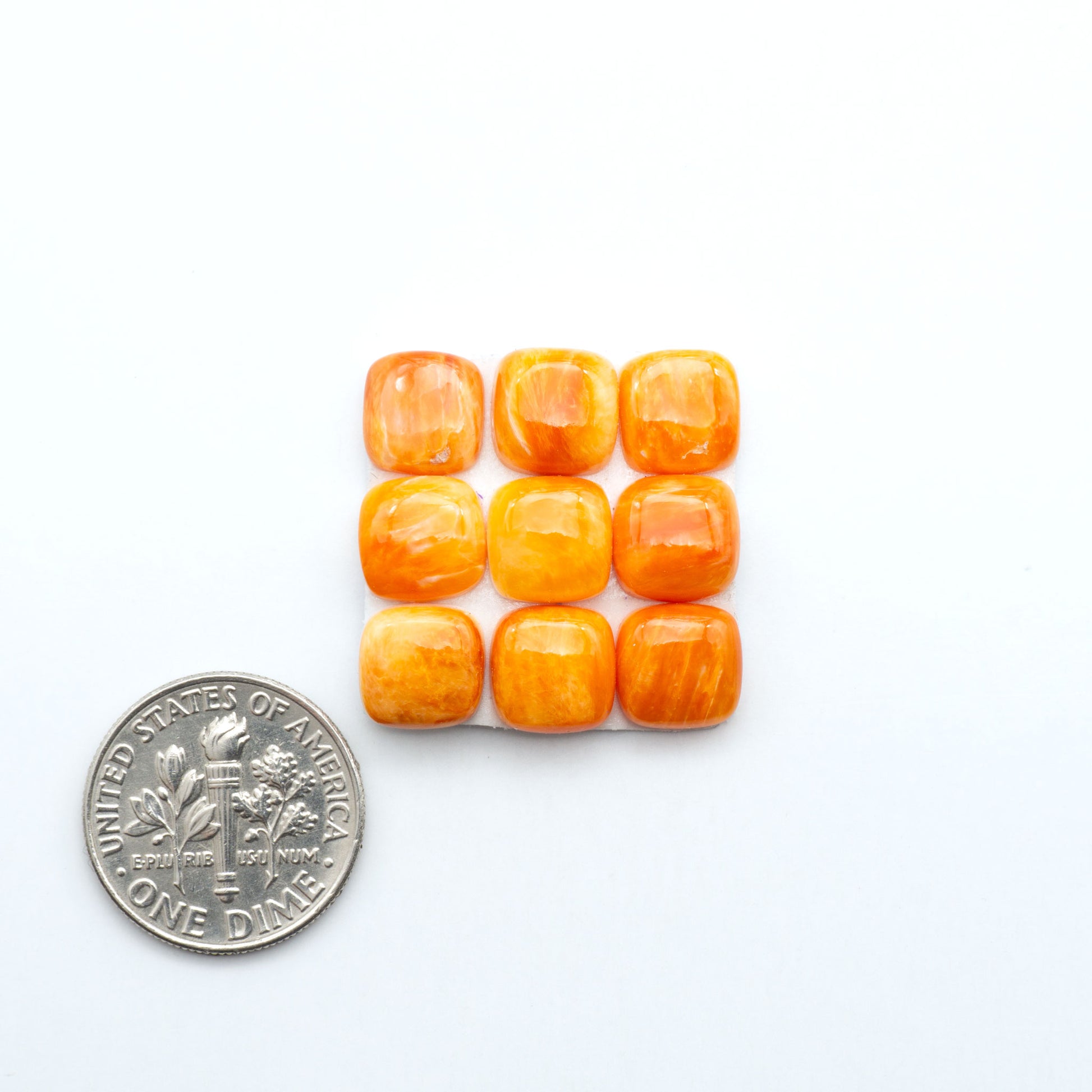 Orange Spiny oyster shell cabochons, on a white background with a US dime for scale