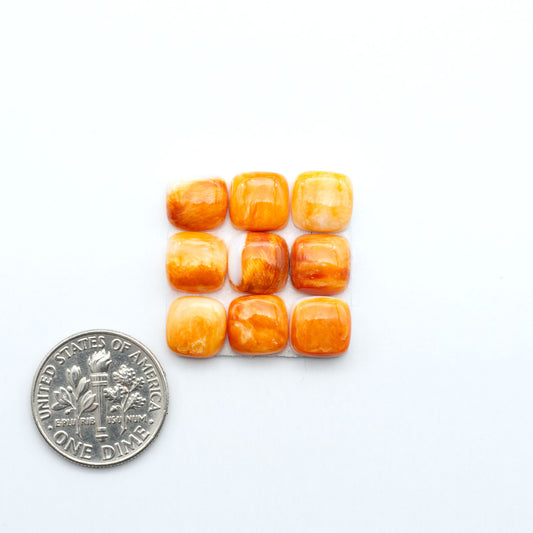 Orange Spiny oyster shell cabochons, on a white background with a US dime for scale