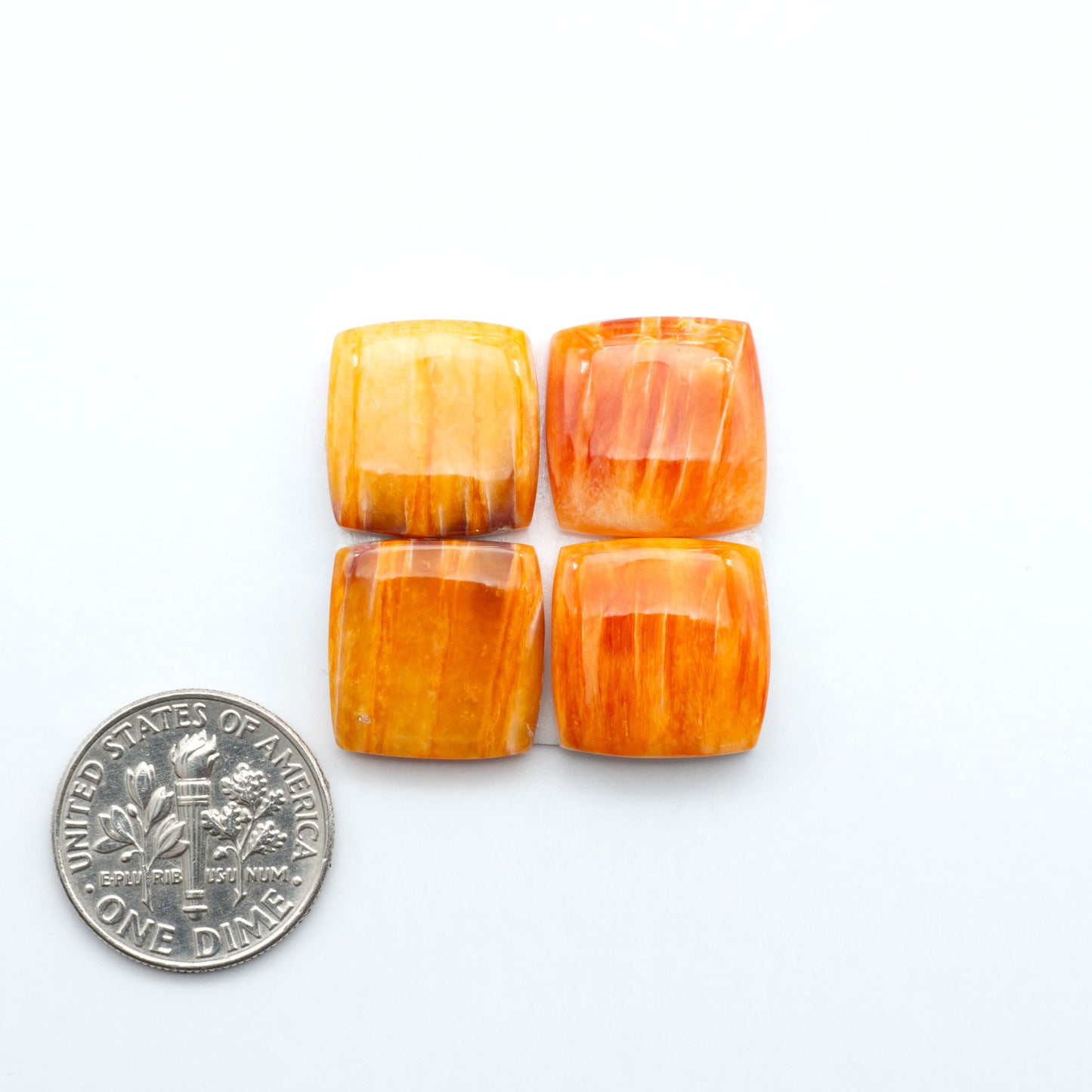 Orange Spiny oyster shell cabochons, on a white background with a US dime for scale