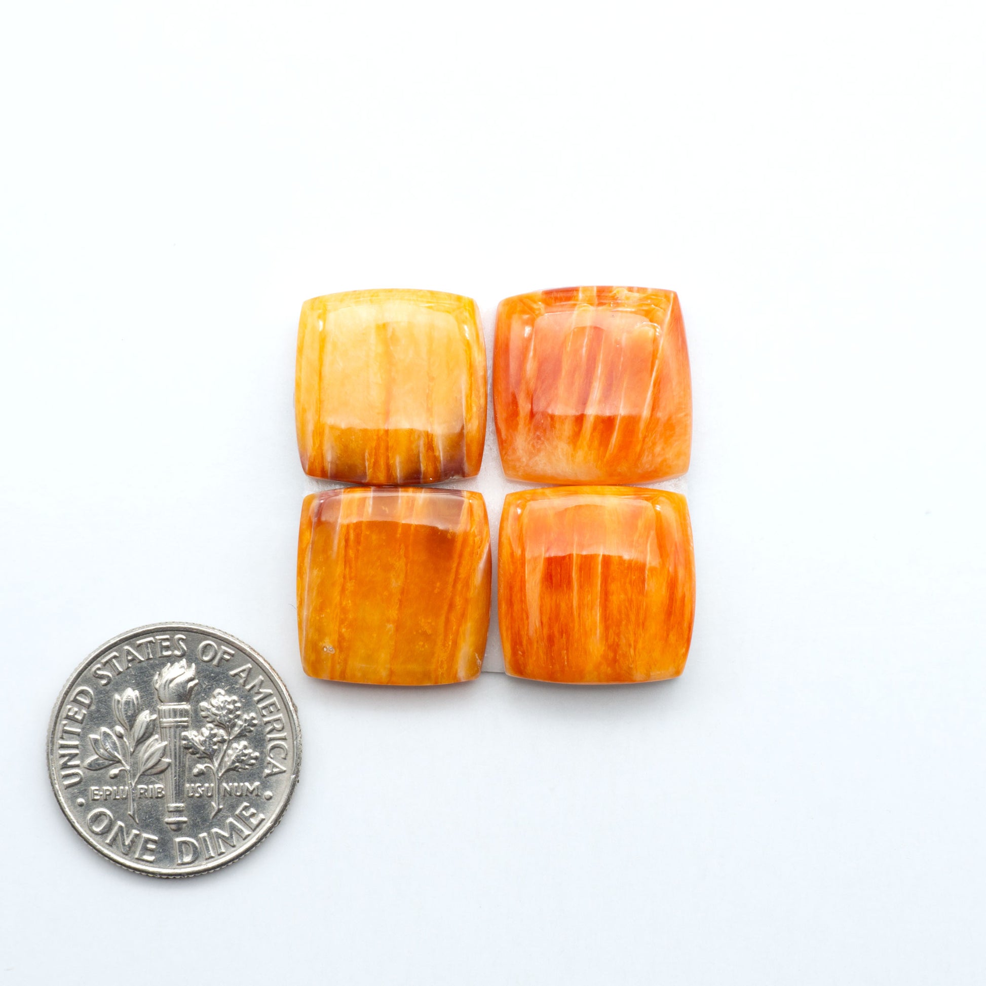 Orange Spiny oyster shell cabochons, on a white background with a US dime for scale