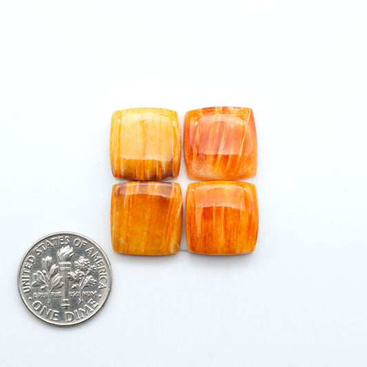 Orange Spiny oyster shell cabochons, on a white background with a US dime for scale
