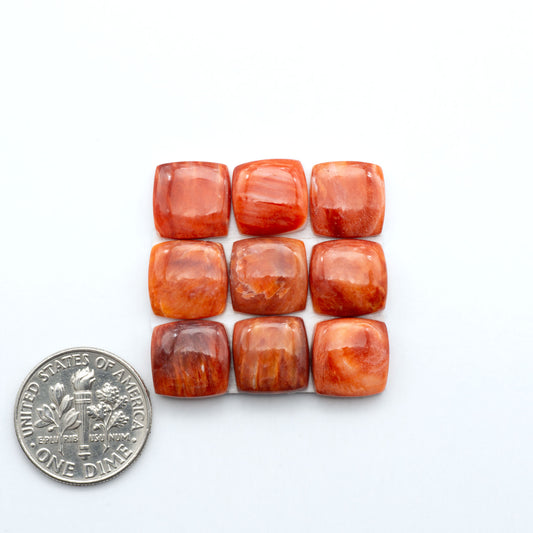 Red Spiny oyster shell cabochons, on a white background with a US dime for scale