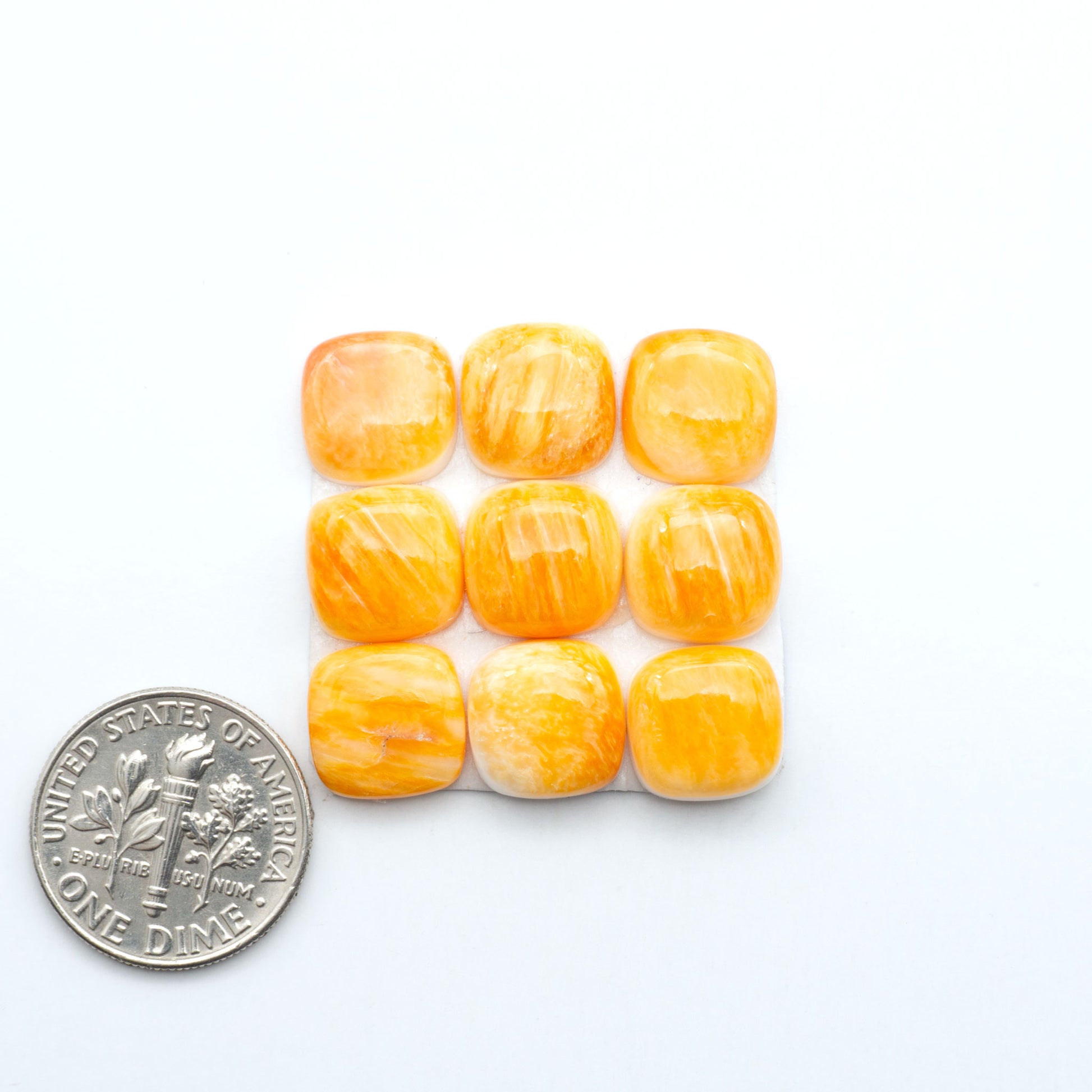 Orange Spiny oyster shell cabochons, on a white background with a US dime for scale