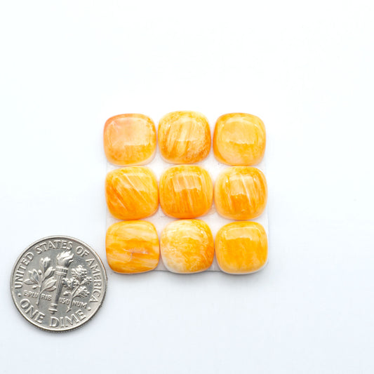 Orange Spiny oyster shell cabochons, on a white background with a US dime for scale