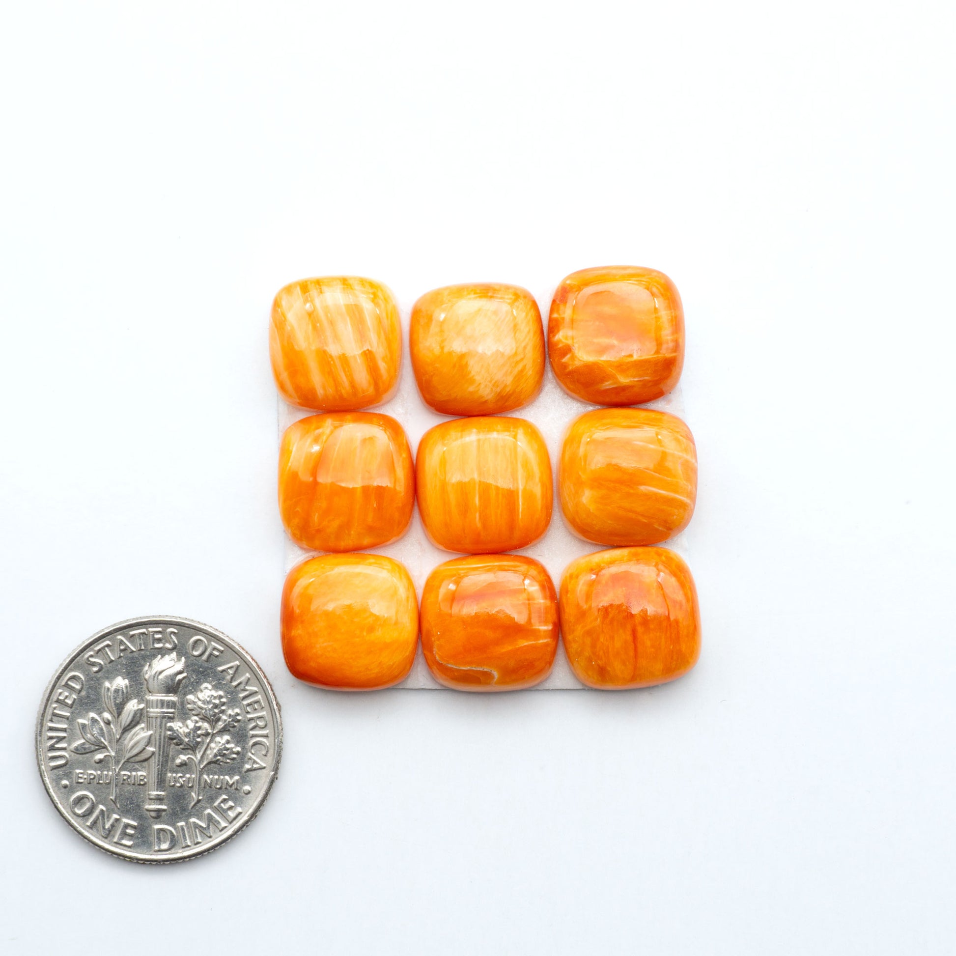 Orange Spiny oyster shell cabochons, on a white background with a US dime for scale