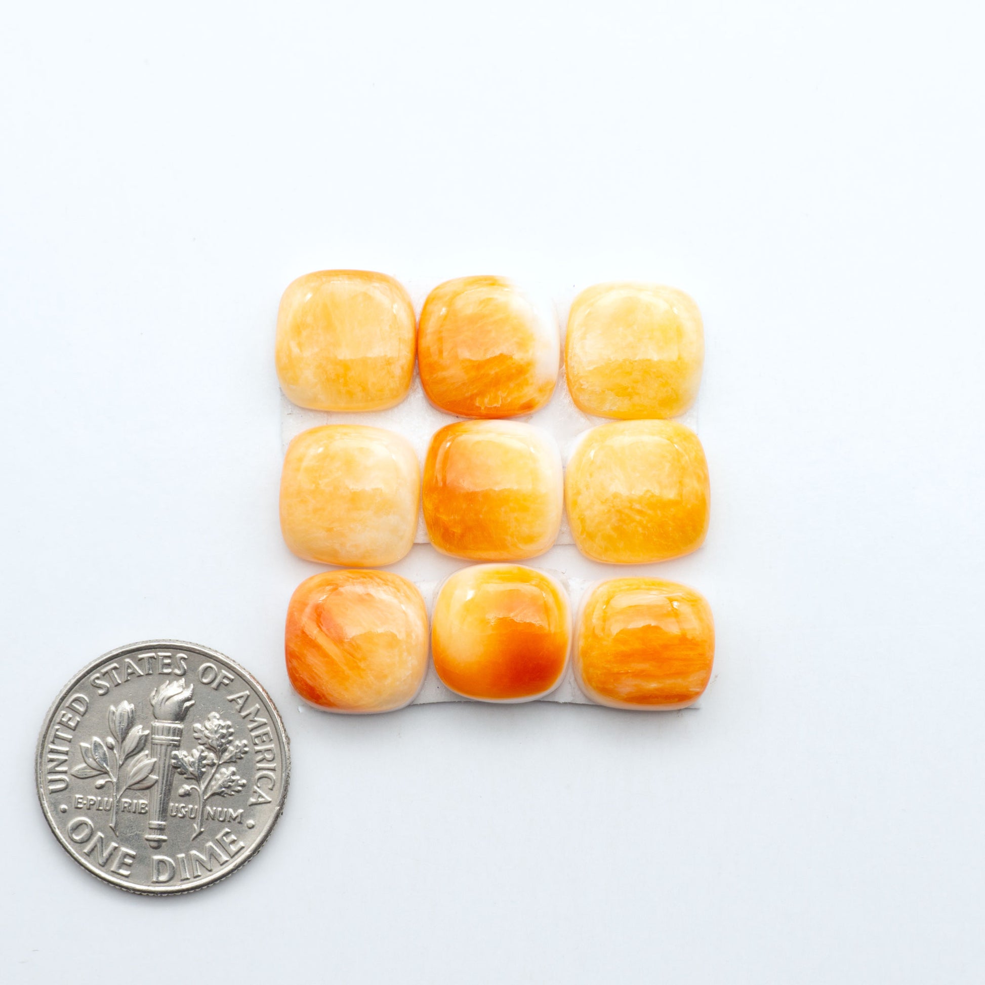 Orange Spiny oyster shell cabochons, on a white background with a US dime for scale