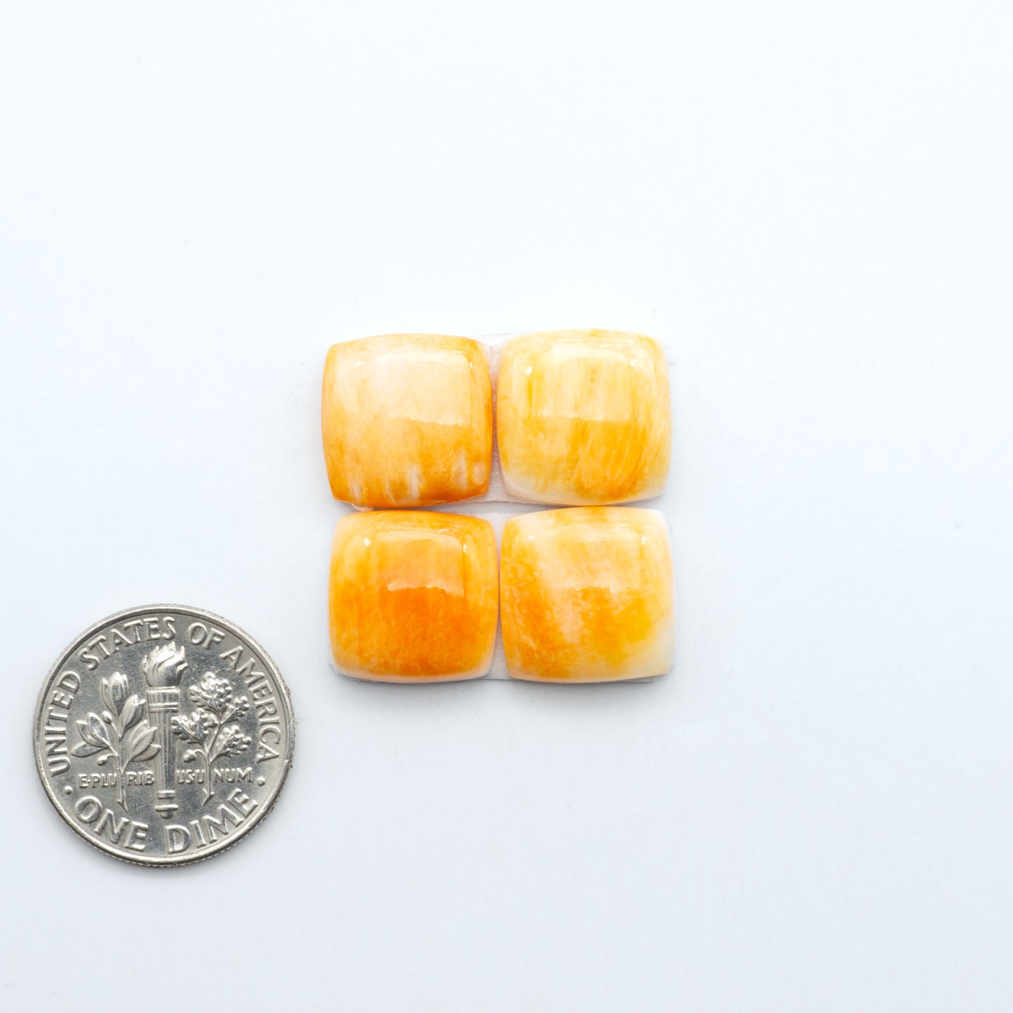Orange Spiny oyster shell cabochons, on a white background with a US dime for scale