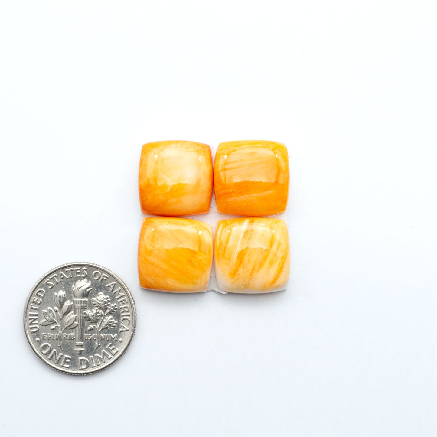 Orange Spiny oyster shell cabochons, on a white background with a US dime for scale