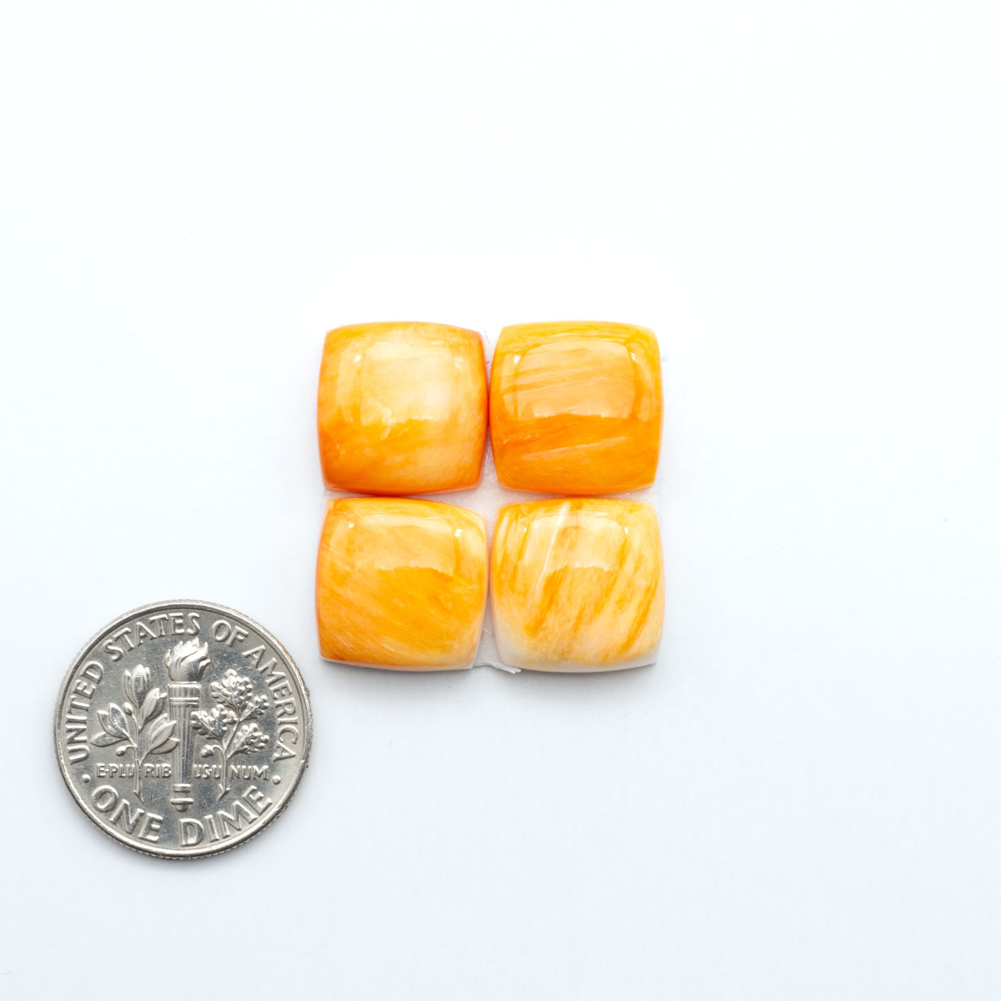 Orange Spiny oyster shell cabochons, on a white background with a US dime for scale