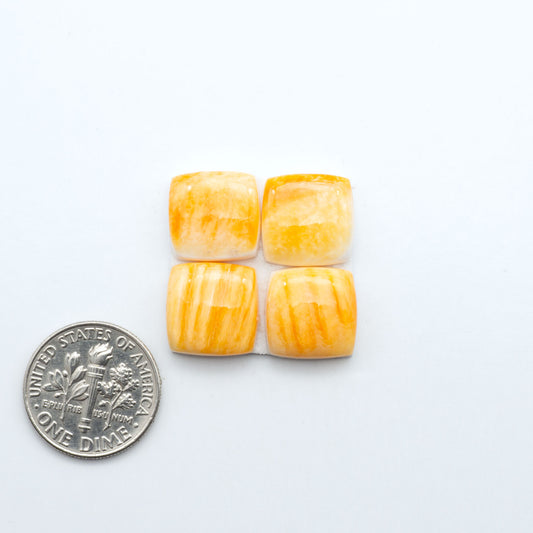Orange Spiny oyster shell cabochons, on a white background with a US dime for scale