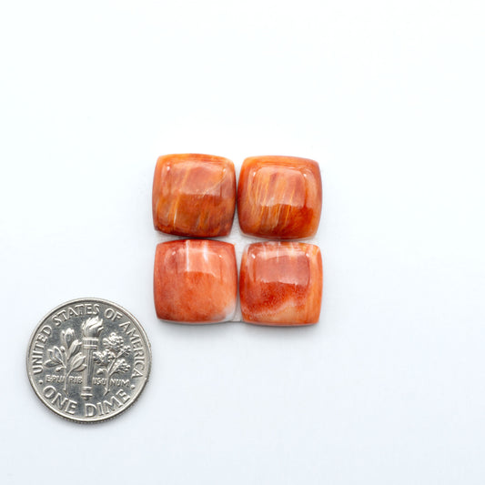 Red Spiny oyster shell cabochons, on a white background with a US dime for scale