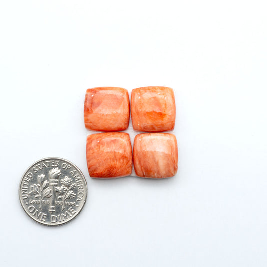 Red Spiny oyster shell cabochons, on a white background with a US dime for scale