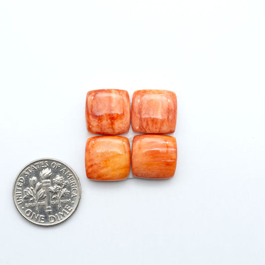 Red Spiny oyster shell cabochons, on a white background with a US dime for scale