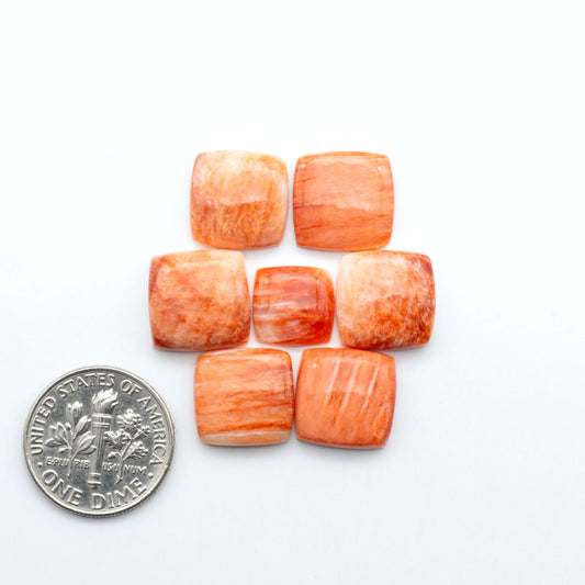 Red Spiny oyster shell cabochons, on a white background with a US dime for scale