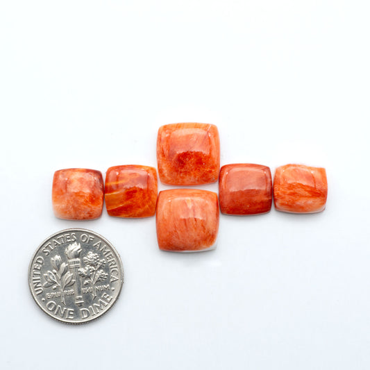 Red Spiny oyster shell cabochons, on a white background with a US dime for scale