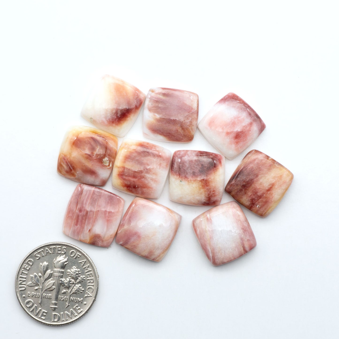 Purple Spiny oyster shell cabochons, on a white background with a US dime for scale