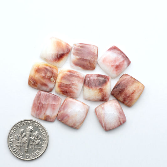 Purple Spiny oyster shell cabochons, on a white background with a US dime for scale