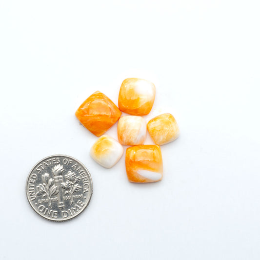 Orange Spiny oyster shell cabochons, on a white background with a US dime for scale