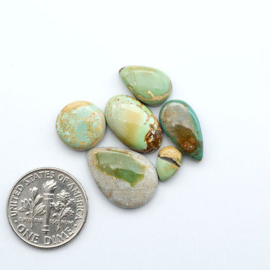 Royston Turquoise cabochons, blue-green color with natural matrix, polished stones on a white background, with a US dime for scale