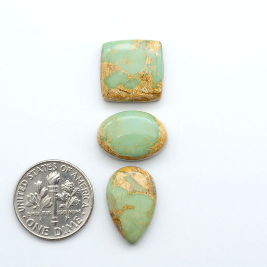 Royston Turquoise cabochons, blue-green color with natural matrix, polished stones on a white background, with a US dime for scale