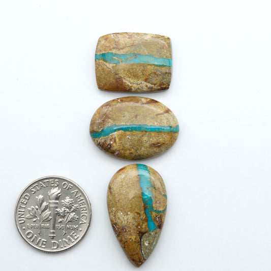 Royston Turquoise cabochons, blue-green color with natural matrix, polished stones on a white background, with a US dime for scale